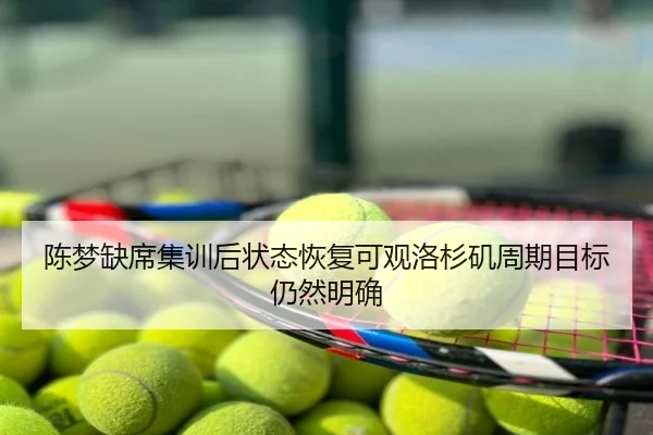 陈梦缺席集训后状态恢复可观洛杉矶周期目标仍然明确