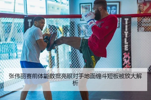 张伟丽赛前体能数据亮眼对手地面缠斗短板被放大解析