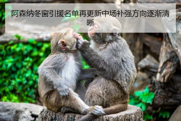 阿森纳冬窗引援名单再更新中场补强方向逐渐清晰