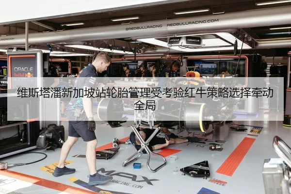 维斯塔潘新加坡站轮胎管理受考验红牛策略选择牵动全局