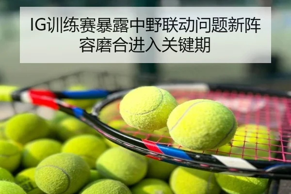 IG训练赛暴露中野联动问题新阵容磨合进入关键期