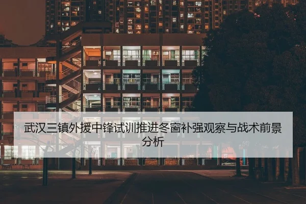 武汉三镇外援中锋试训推进冬窗补强观察与战术前景分析